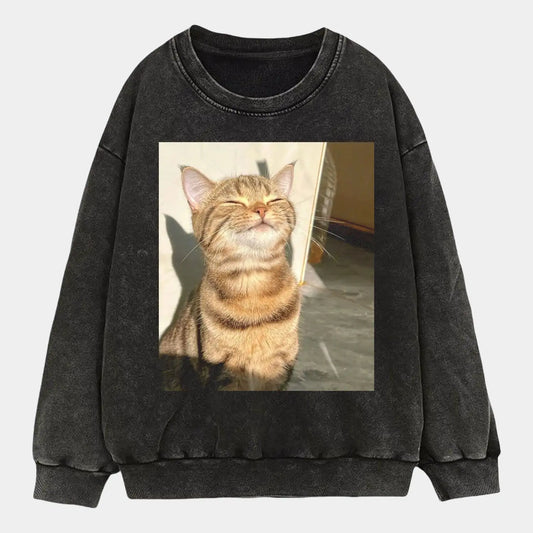 A cat in the sunlight A1 TEE