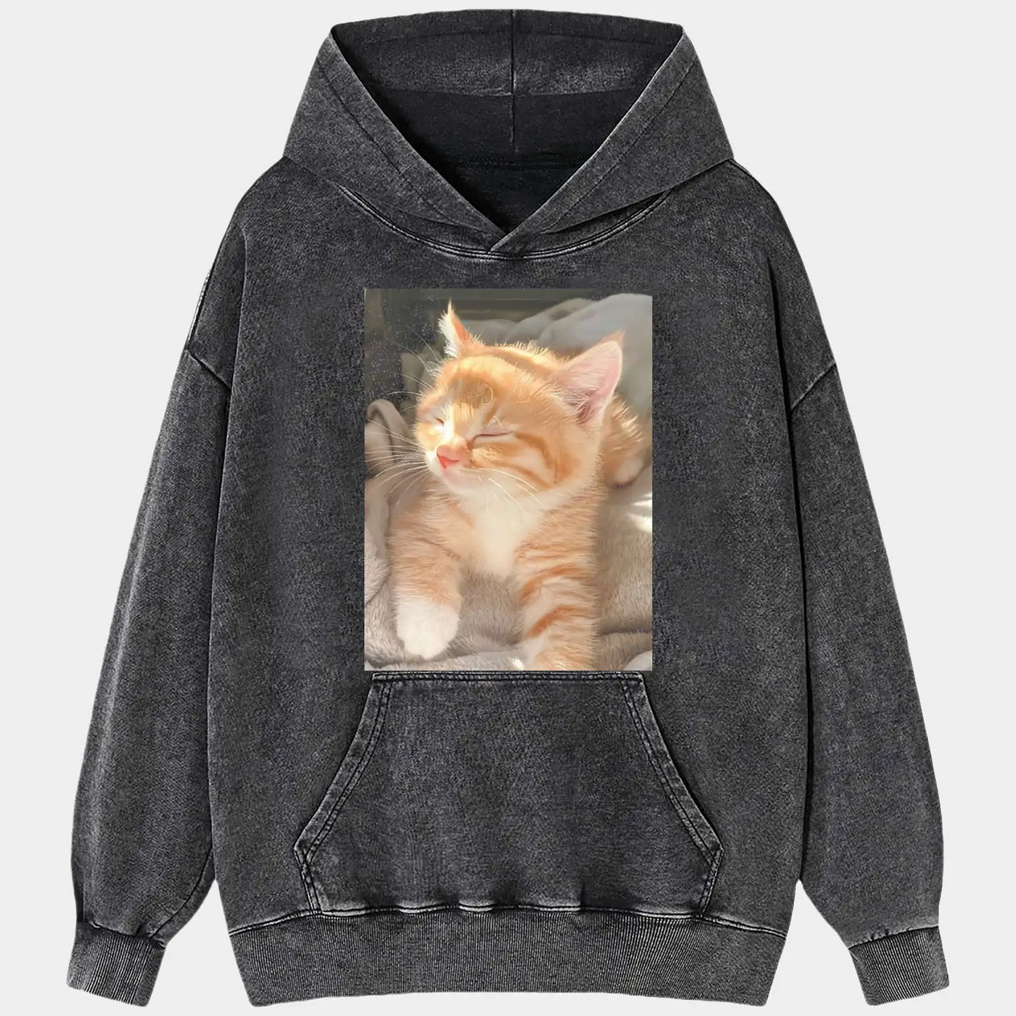 A cat in the sunlight A2 TEE