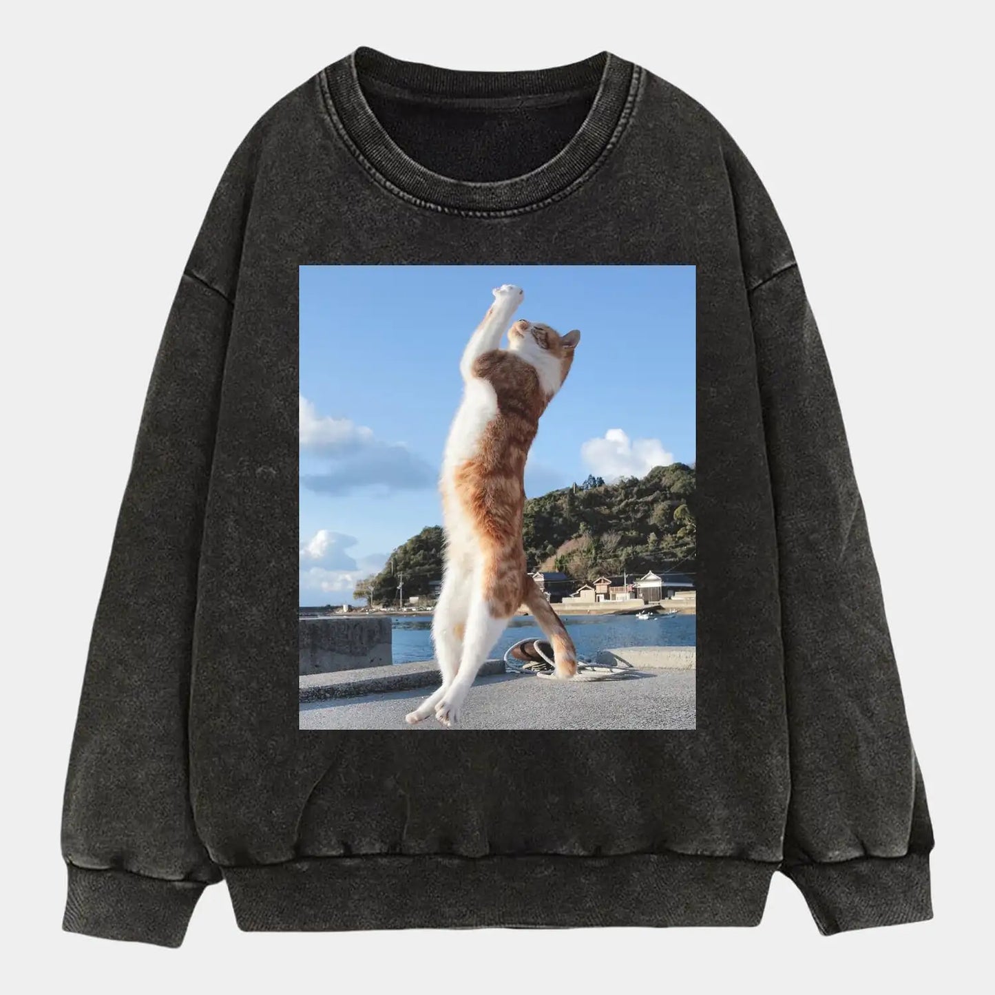 Pray Cat Tee