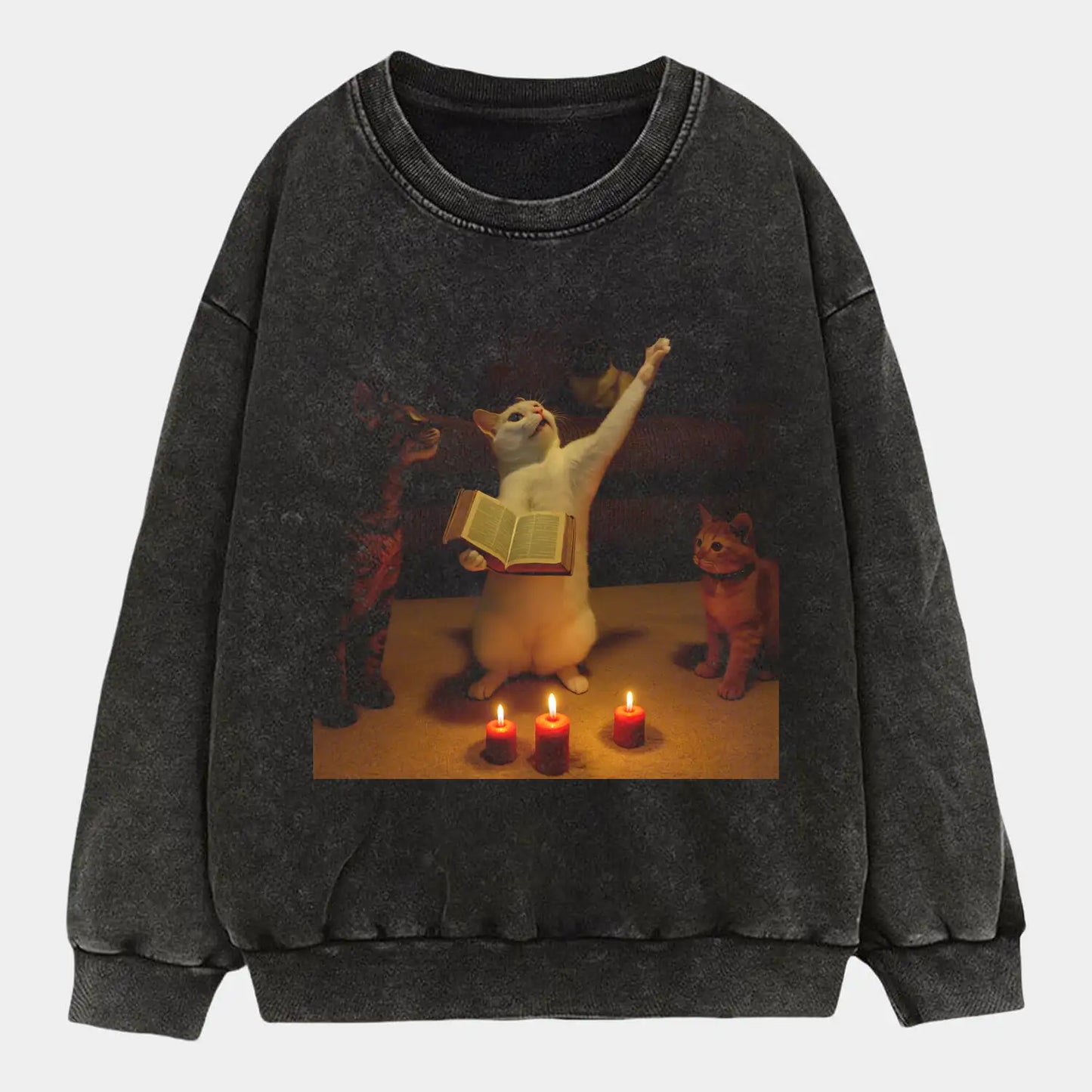 Preaching Cat V2 Tee