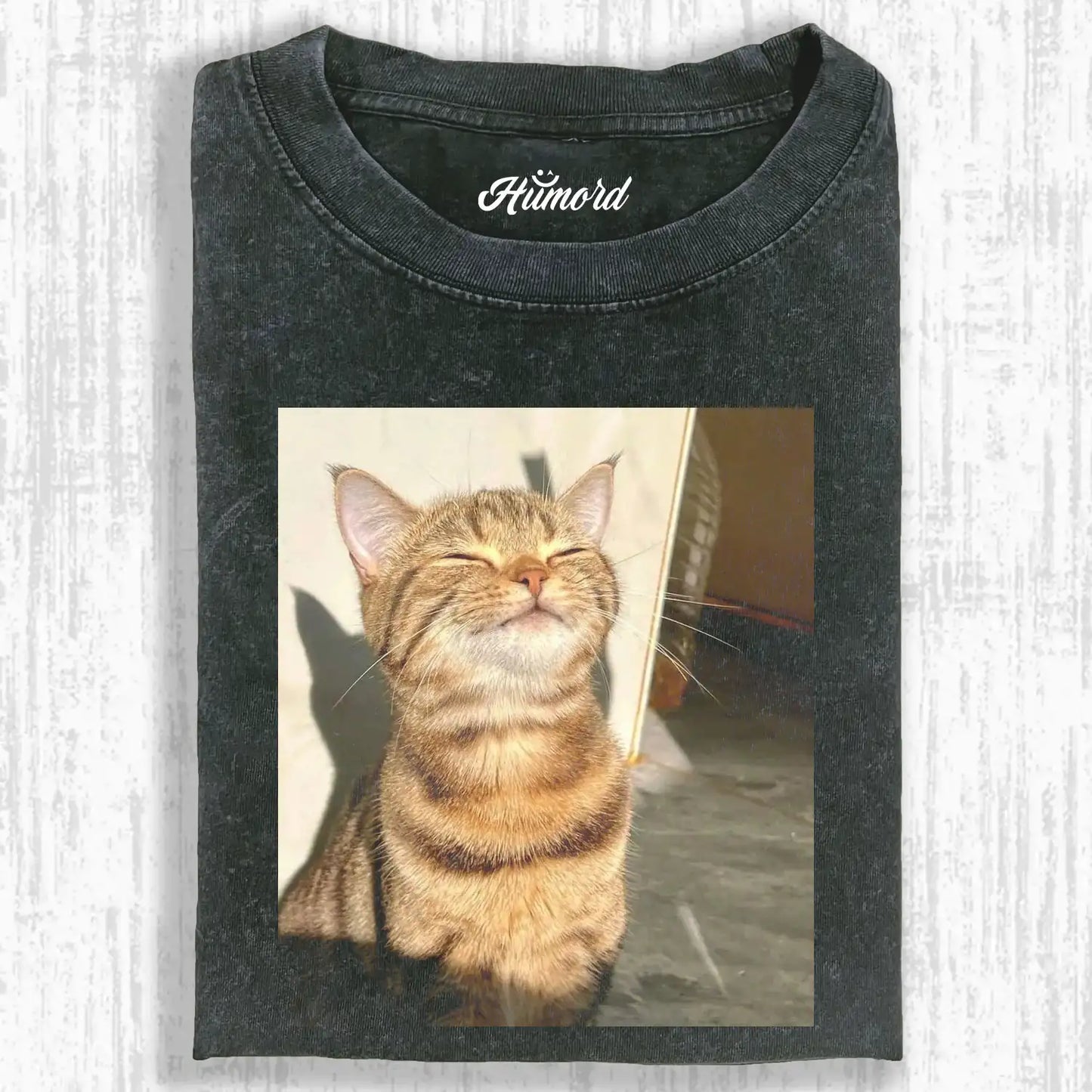 A cat in the sunlight A1 TEE