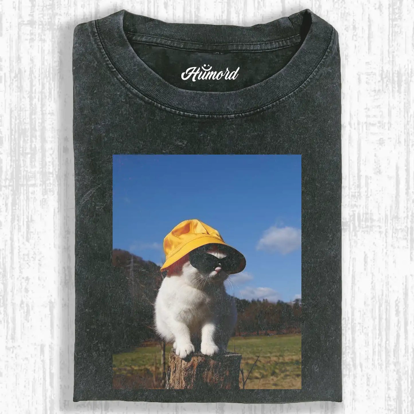 A cat in the sunlight A3 TEE