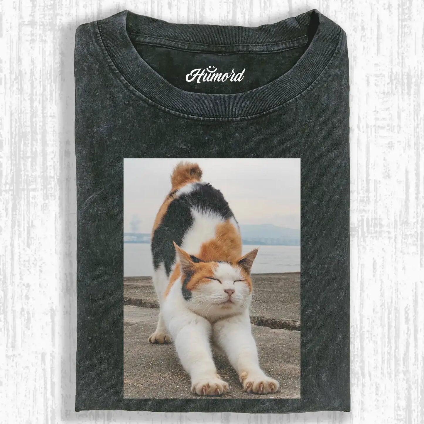 A stretching cat A1 TEE