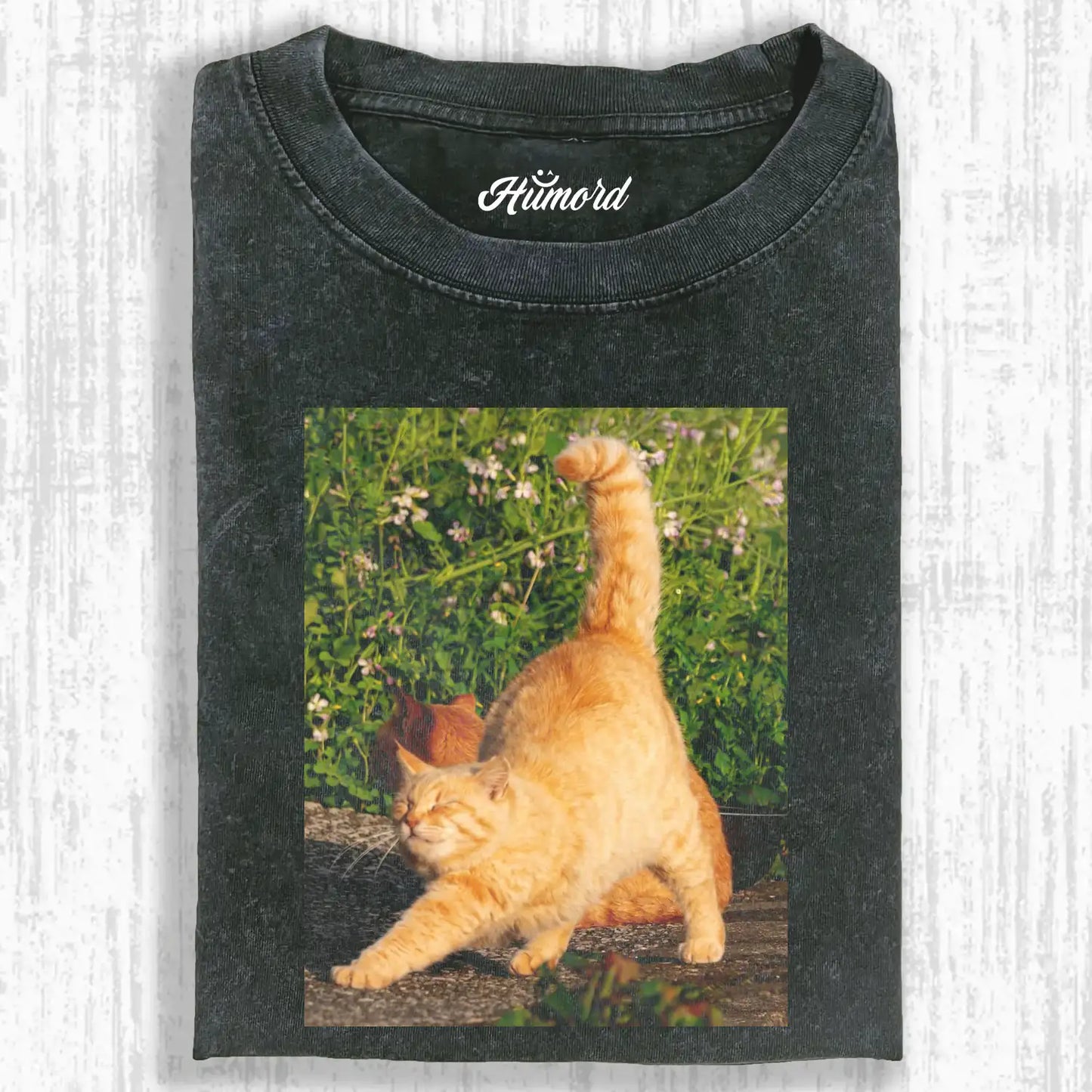 A stretching cat A2 TEE