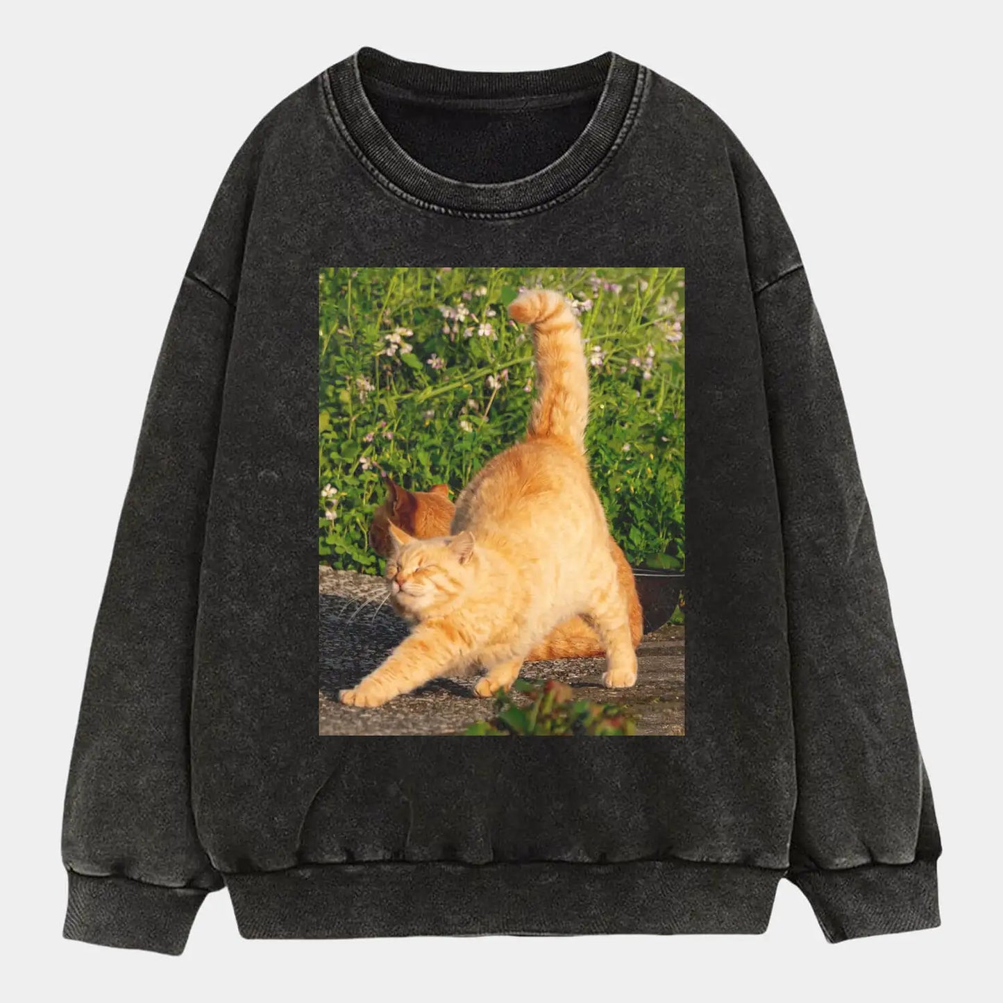 A stretching cat A2 TEE