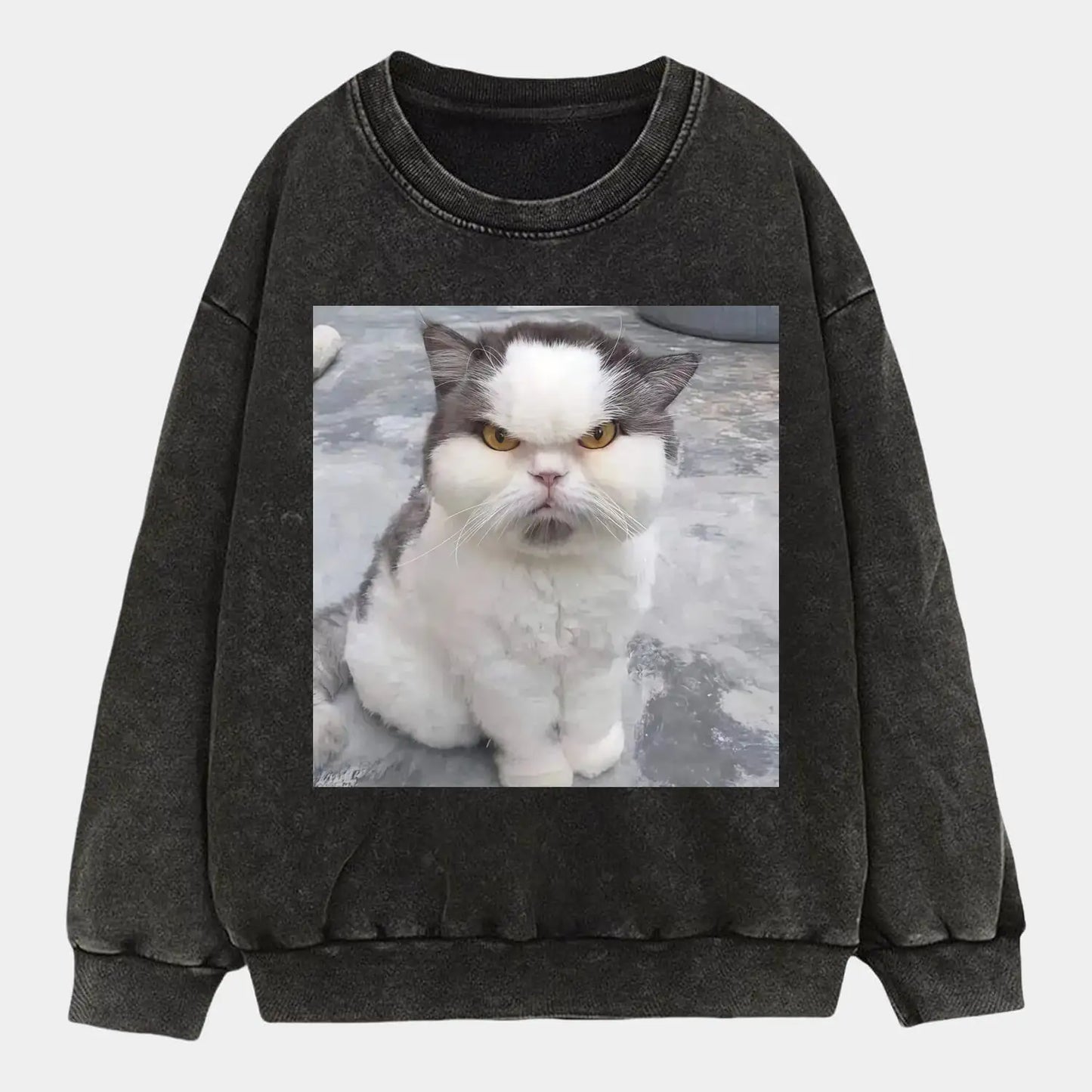 An angry cat TEE