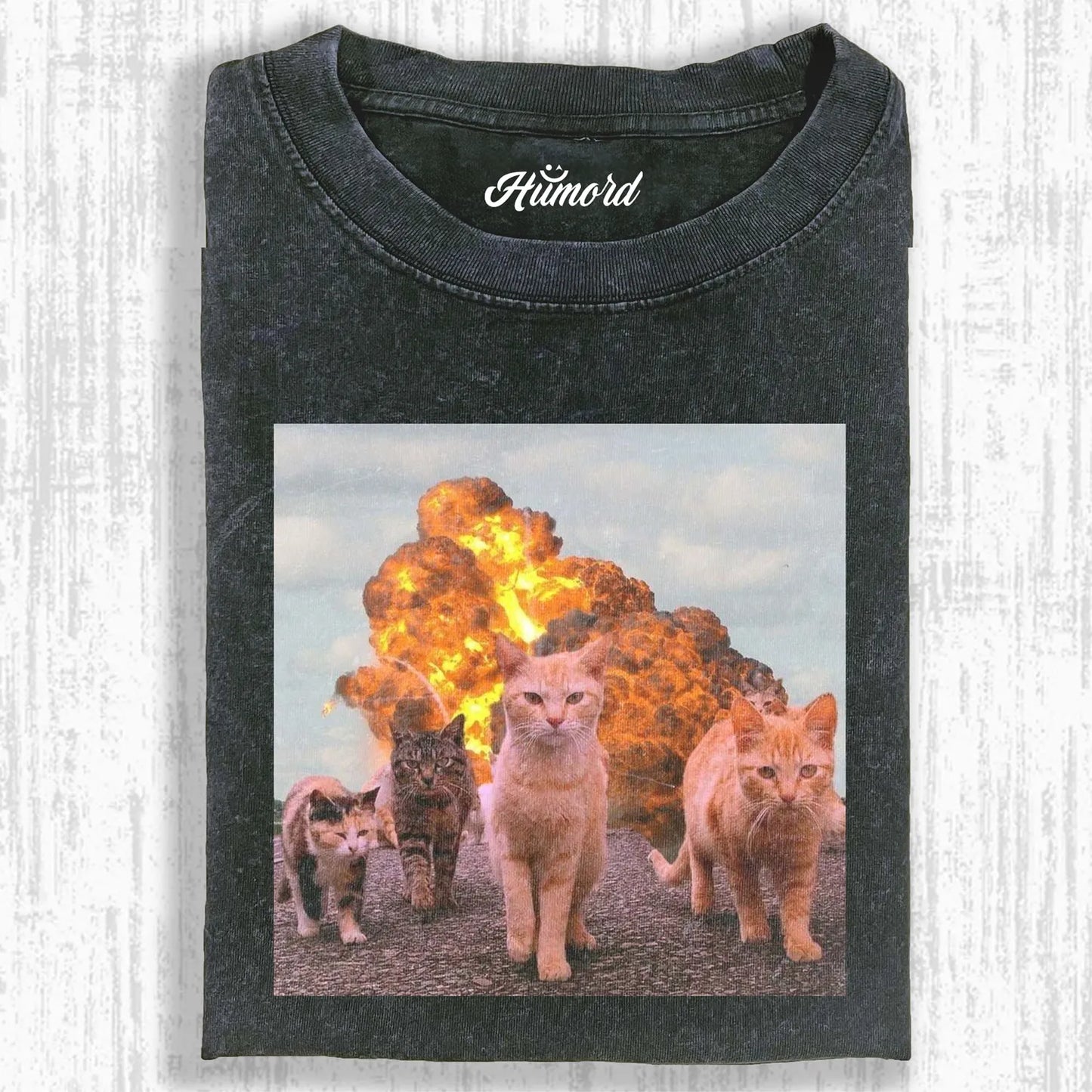 CALM AND COLLECTED CAT T-SHIRT 2.2