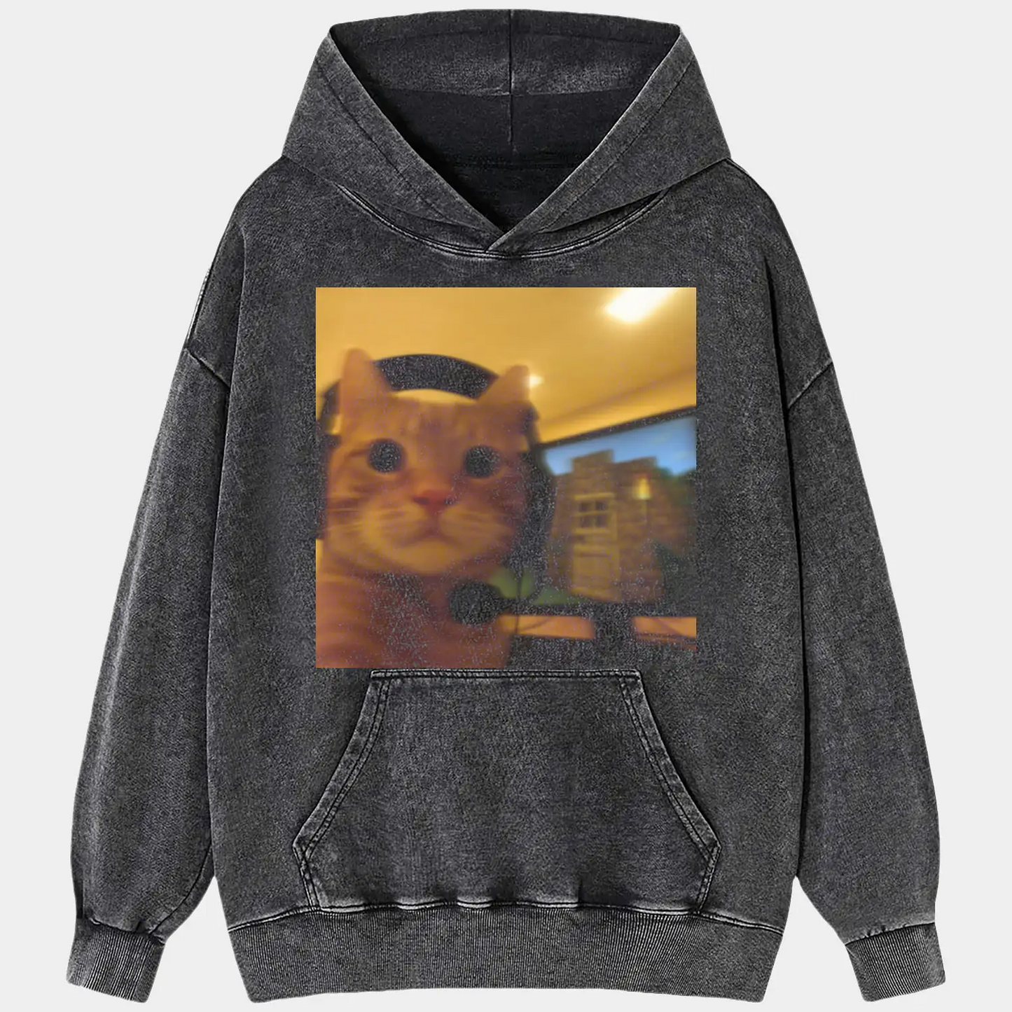 CAT PLAYING COMPUTER GAMES