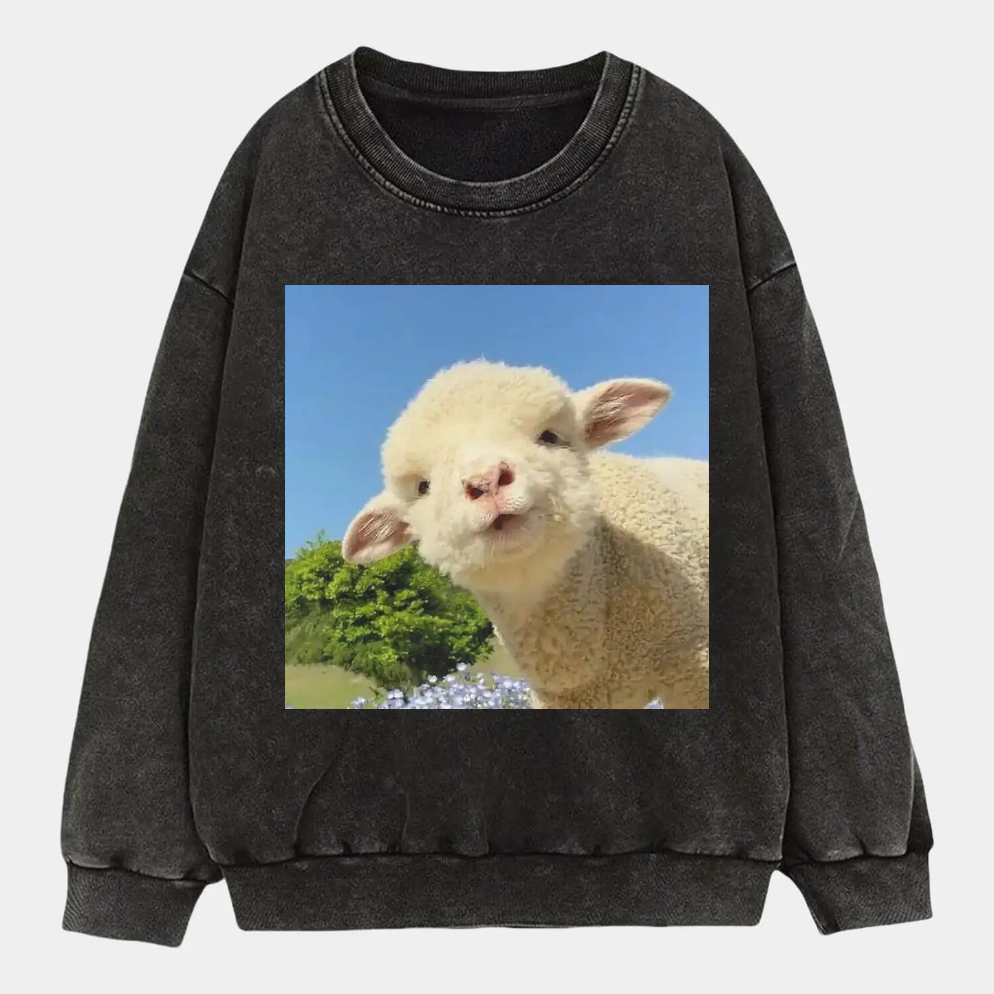 CURIOUS LITTLE LAMB TEE