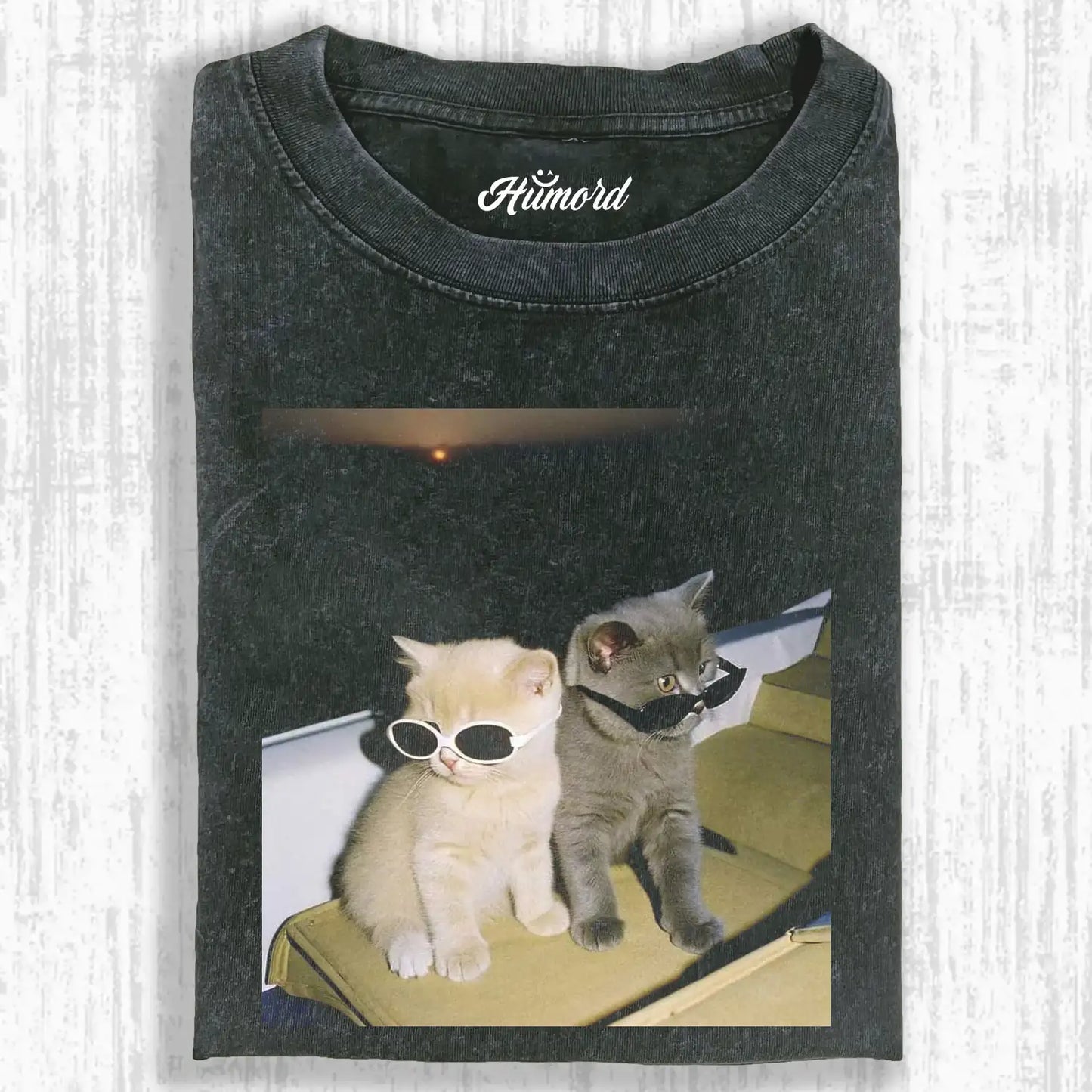 Cute kittens A1 Tee