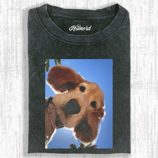 Dog's gaze A1 Tee