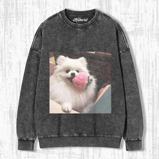 FUNNY DOG T-SHIRT V2.6