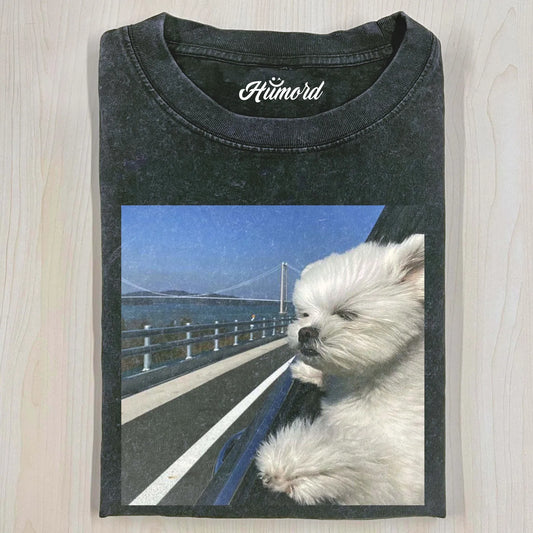 FUNNY DOG T-SHIRT V2.8