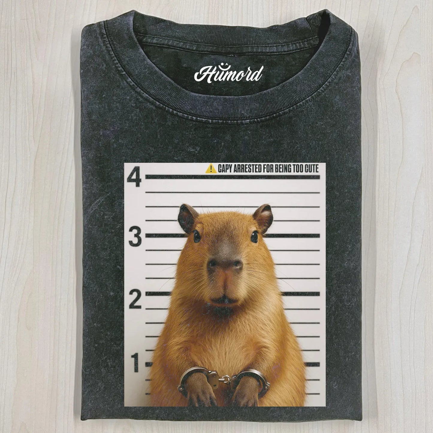 FUNNY HANSTER T-SHIRT V1.0