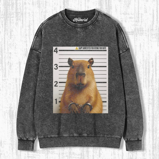 FUNNY HANSTER T-SHIRT V1.0