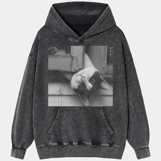 Funny Cat 8.21 Tee 4.0