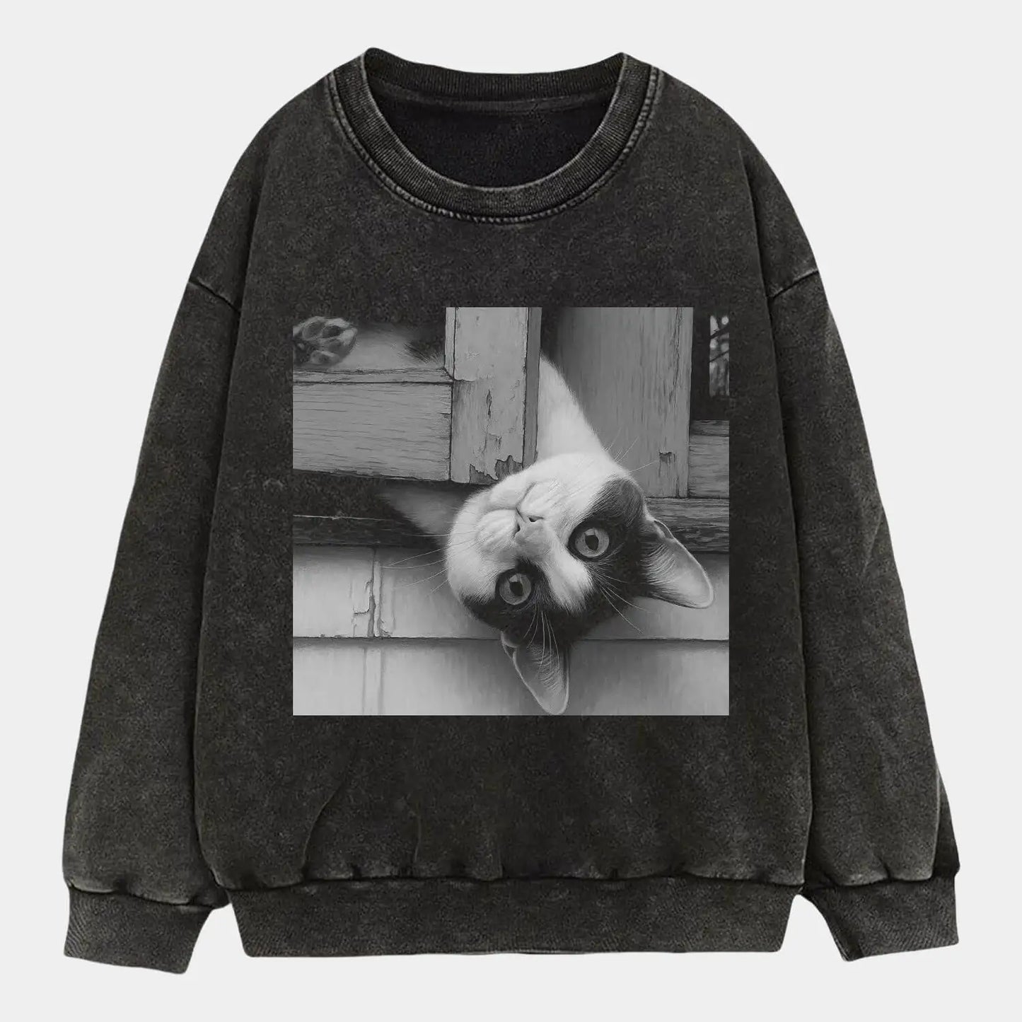 Funny Cat 8.21 Tee 4.0