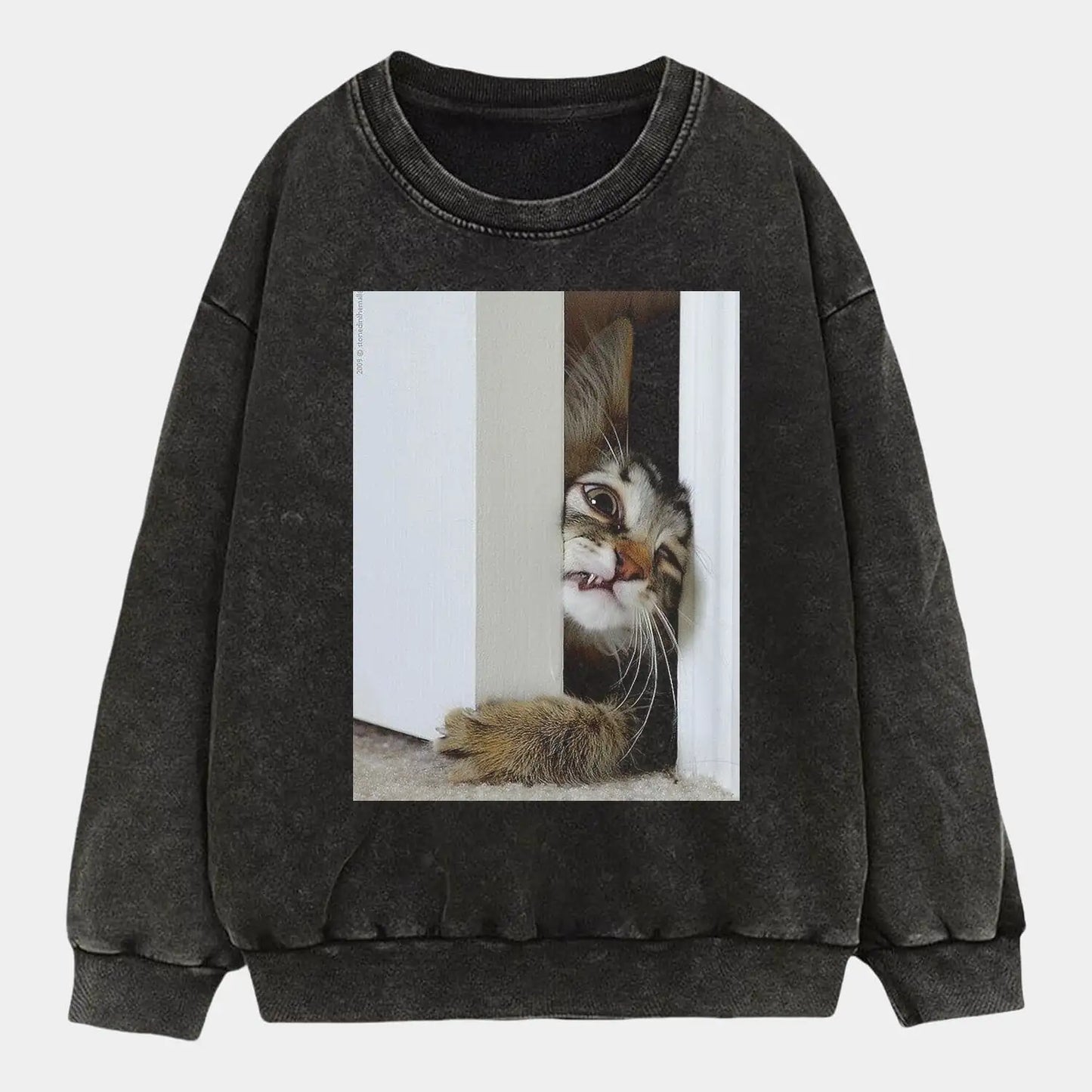 Miss Pebbles Cat Tee
