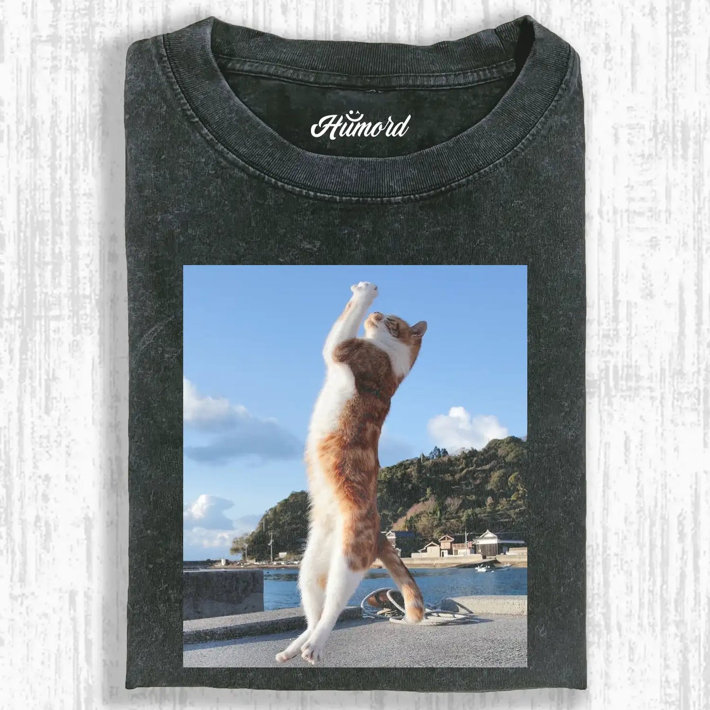 Pray Cat Tee