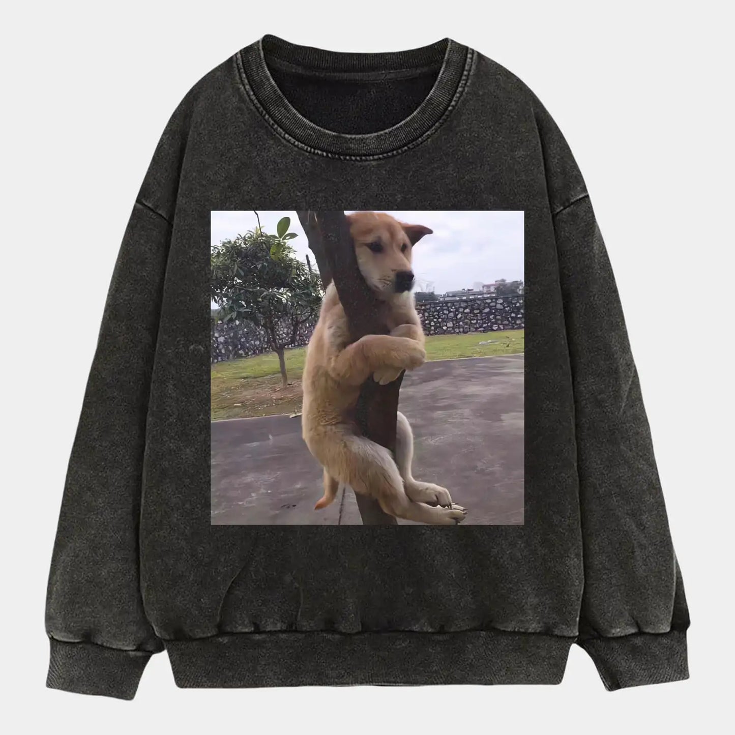 Scared Dog A1 Tee