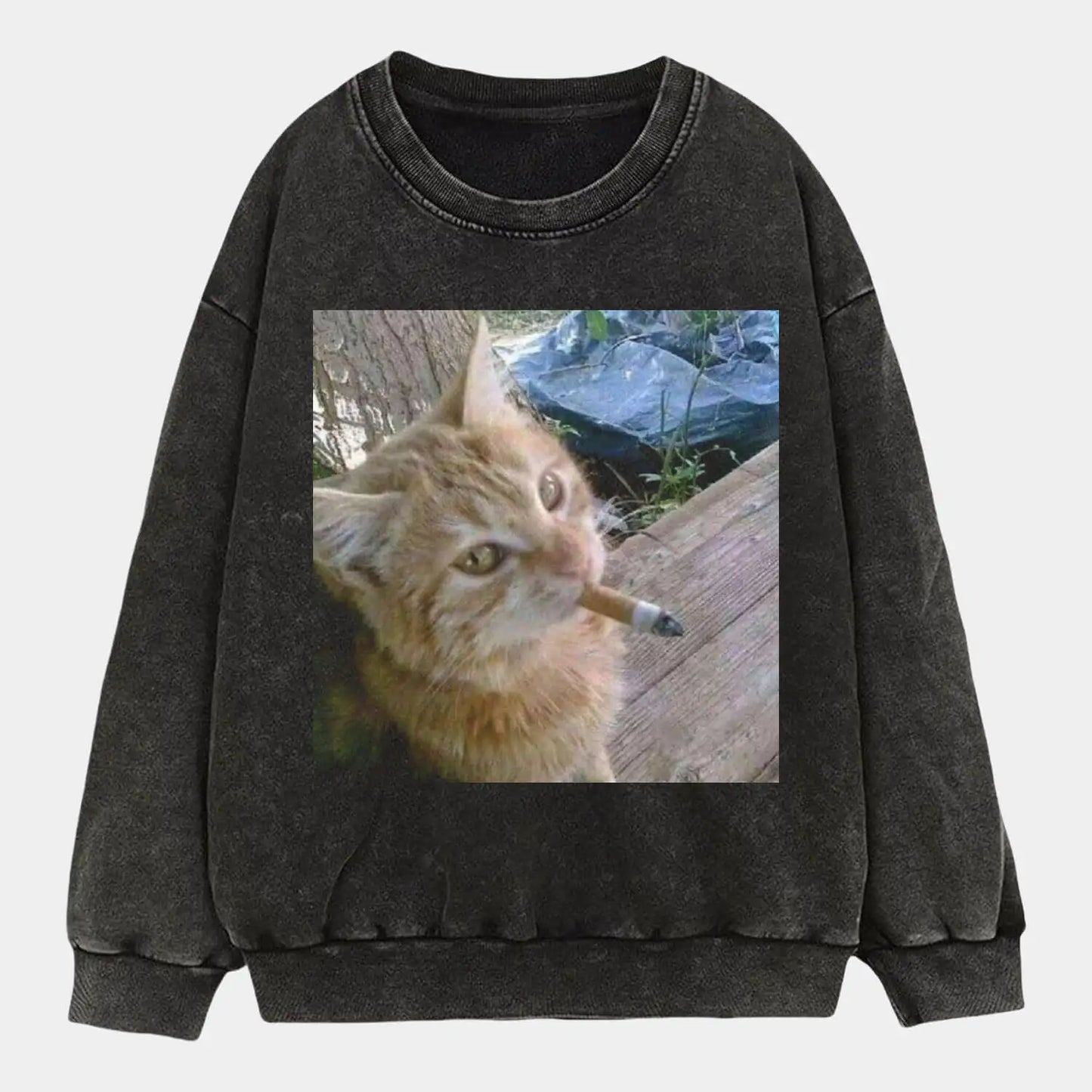 Smoky Cat A2 Tee