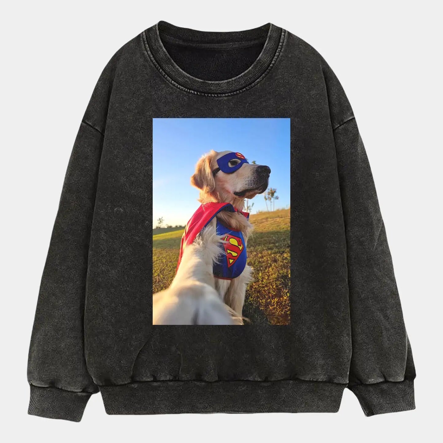 Superman Dog Tee