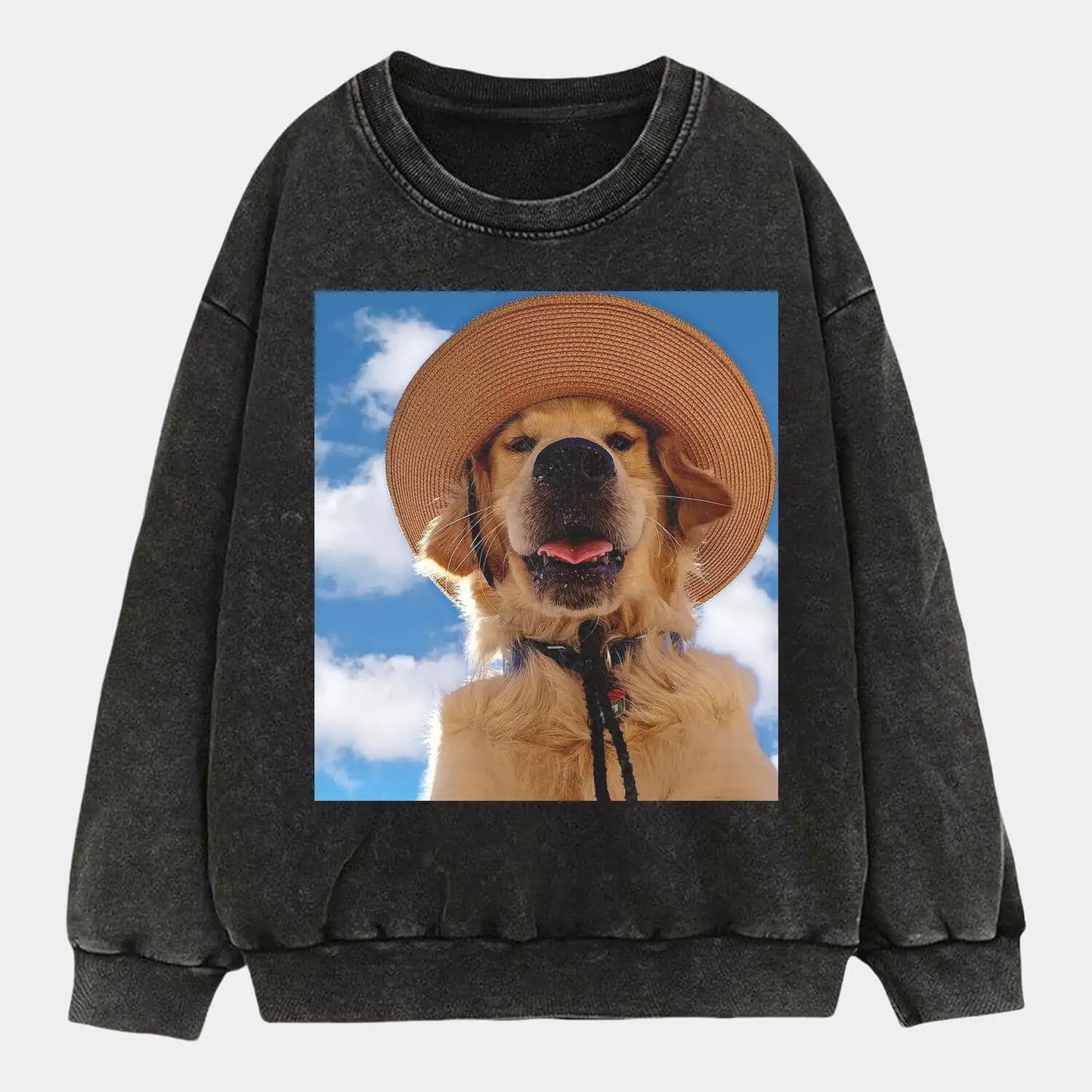Traveller Dog Tee
